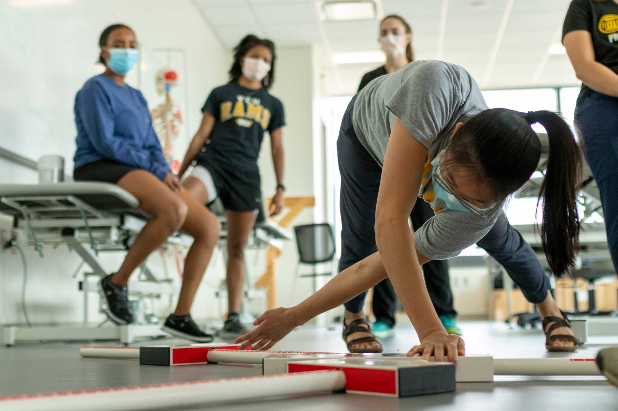 Physical Therapy
